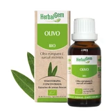 Herbalgem Olive Tree 50 ml