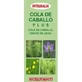 Integralia Schachtelhalm Plus Sirup 250Ml