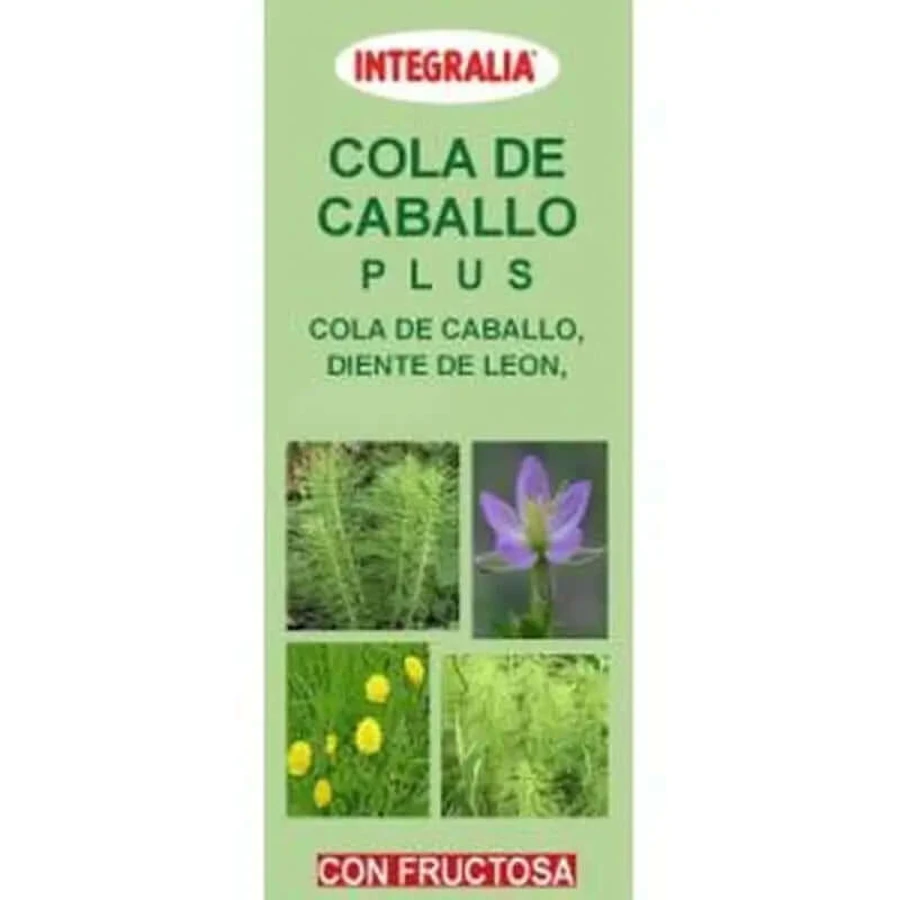 Integralia Schachtelhalm Plus Sirup 250Ml