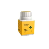 Botanicapharma Nachtkerze & Vitamin E, 515 Mg 100 Perlen