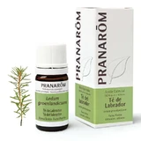 Pranarom Labrador Thee Etherische Olie, 5ml