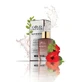Ser regenerator de noapte Gold Collagen, 30 ml