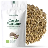 Replant Mariendistel-Samen Bio, 200 g