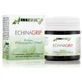Ergonat Echinagrip Echinacea Ergosfera 45 Capsule