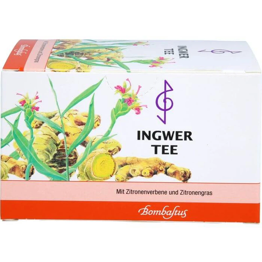 INGWER TEA filter bag 40 g