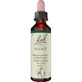 BACHBLÜTEN Picături de nucă 20 ml