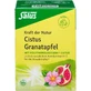 CISTUS GRANATAPFEL Tea Power of Nature Salus Fbtl. 15 St.
