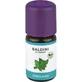 ACEITE DE OREGANO BIO Aroma Baldini 5 ml