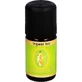 INGWER BIO etherische olie 5 ml