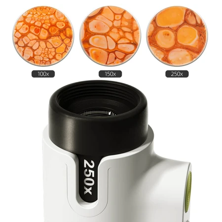 STEM Mikroskop 250 Spiel, TopBright