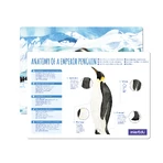 Verstellbares 3D-Puzzle - Imperial Penguin (deluxe)