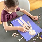 Magnetic educational game - All about Body and Emotions