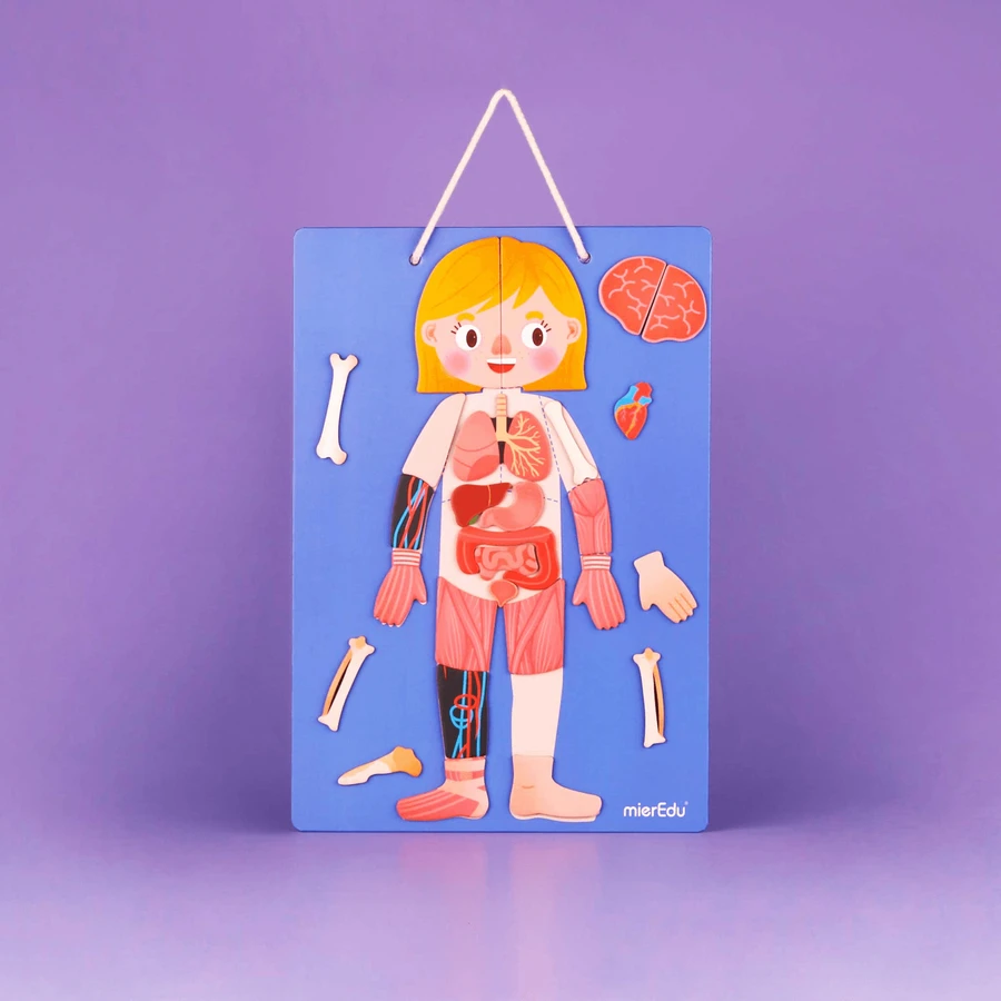 Magnetic educational game - All about Body and Emotions