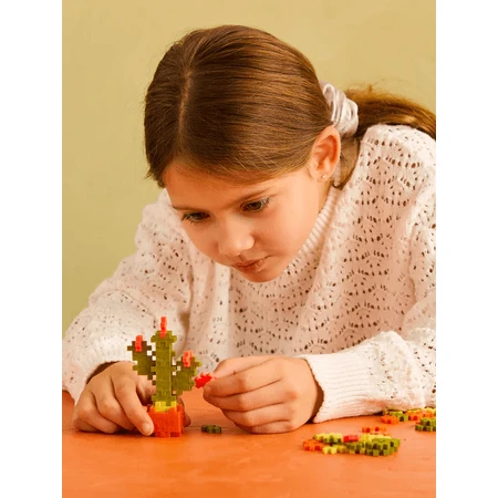 Plus-Plus construction set, PLANTS - Cactus
