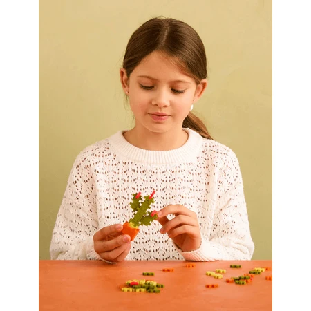 Plus-Plus construction set, PLANTS - Cactus