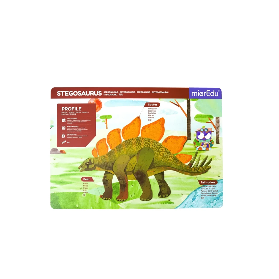 Gioco educativo magnetico -Stegosauro