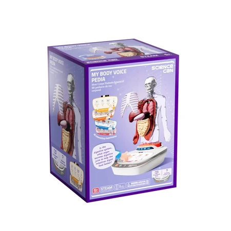MINT-Spiel Menschliche Anatomie, TopBright