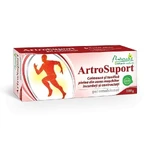ArtroSuport emulsified gel, 100 g, Naturalis