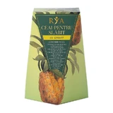 Tee zur Gewichtskontrolle mit Ananas, 60 g, Rya Vita