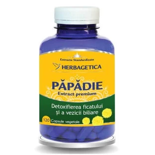 Paardenbloem extract, 120 capsules, Herbagetica