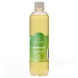 Kombucha mit Ingwergeschmack Ginger Ginger, 500 ml, Furori
