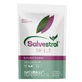 Salvestrol Shield, 500 mg, 90 capsule, Hyperfarm