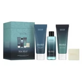 Set Duschgel mit Milchsäure 75 ml + Körperfeuchtigkeitscreme mit Hyaluronsäure 75 ml + Schaum mit Gurkenextrakt 100 ml + Hand- und Körperseife 40 g Sea Kelp, Scottish Fine Soaps