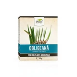 Obligeana tea, 50 g, Dorel Plant