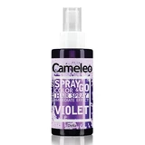 Haarfärbespray Violett Spray&go, 150 ml, Delia Cosmetics