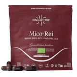Mico Rei Reishi-Extrakt, 60 Kapseln, Hifas da Terra