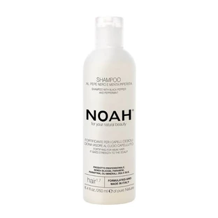 Shampoo for weak and damaged hair (1.7) x 250ml, Noah