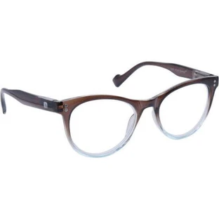 EYELEAD E250 Presbyopie Bril Bruin-Cellulair 1,00