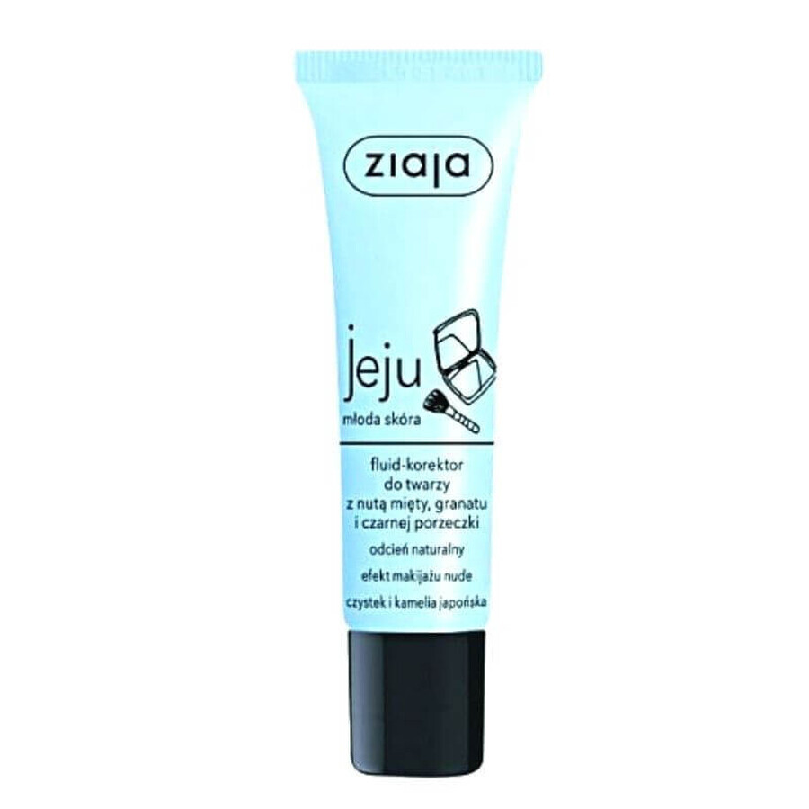 Ziaja Jeju Blue - Crema nuantatoare ton natural 30 ml