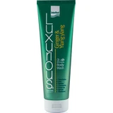 INTERMED Luxurious Rich Moisturizing Body Wash mit Ingwer & Ylang Ylang Moisturizing Body Wash, 300ml