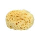 GERAKIOS 100% Natural Sea Sponge No95 Large Size