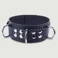Collar de cuero negro con anillas
