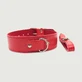 Collare con guinzaglio staccabile - Rosso
