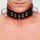Collier en cuir avec anneaux en D - noir/rouge