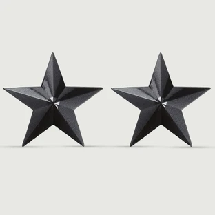 Sensual Star Shaped Nipple Covers - Schwarz