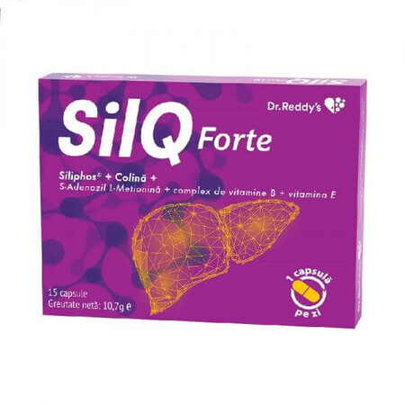 SilQ Forte, 15 Kapseln, Dr. Reddys