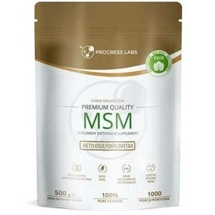PROGRESS LABS MSM Organische Zwavel 500 g