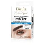DELIA Eyebrow Expert Waterproof Eyebrow Pomade 3.0 Brown 7 g
