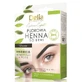 DELIA Pudră pentru sprâncene henna 1.0 Black 4 g (Expiră la ...