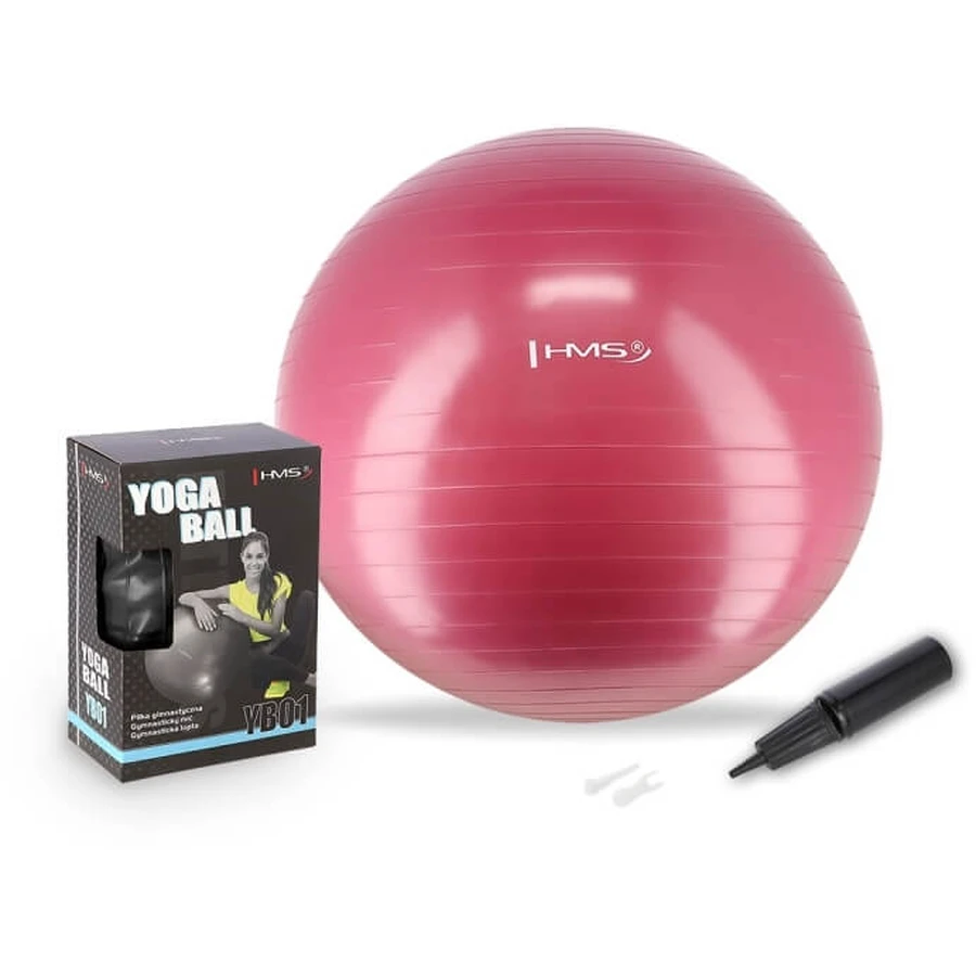 Abisal HMS Gymnastikball Pflaume 65 cm YB01