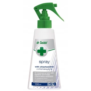 Chlorhexidin-Hautspray 100ml