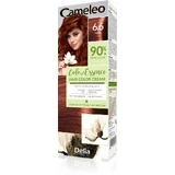 DELIA CAMELEO Farbe Essenz Farbe Creme 6,6 Rubin 75 g