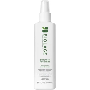 BIOLAGE Strength Recovery restorative hair spray ...