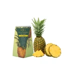 Gewichtsbeheersing thee set + dubbelwandige infuserfles