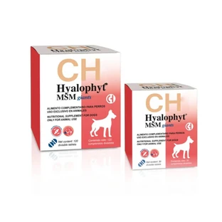 CH HYALALOPHYT MSM MSM LARGE Gelenknahrungsergänzung für große Hunde 120 tbl