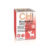 CH HYALOPHYT MSM MINI Nahrungsergänzungsmittel für kleine Hunde, für gesunde Gelenke 90 tbl